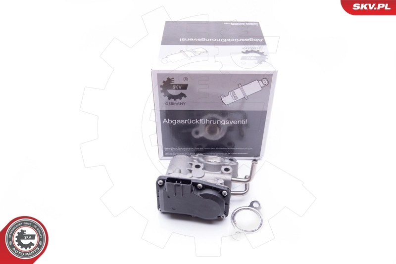 EGR Valve